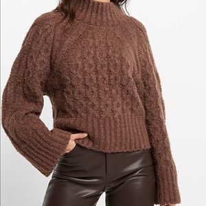 NWT Express Cozy Cable Knit Mock Neck Sweater